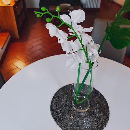 Apartmán Borgo Pinti 49 Florencie Exteriér fotografie