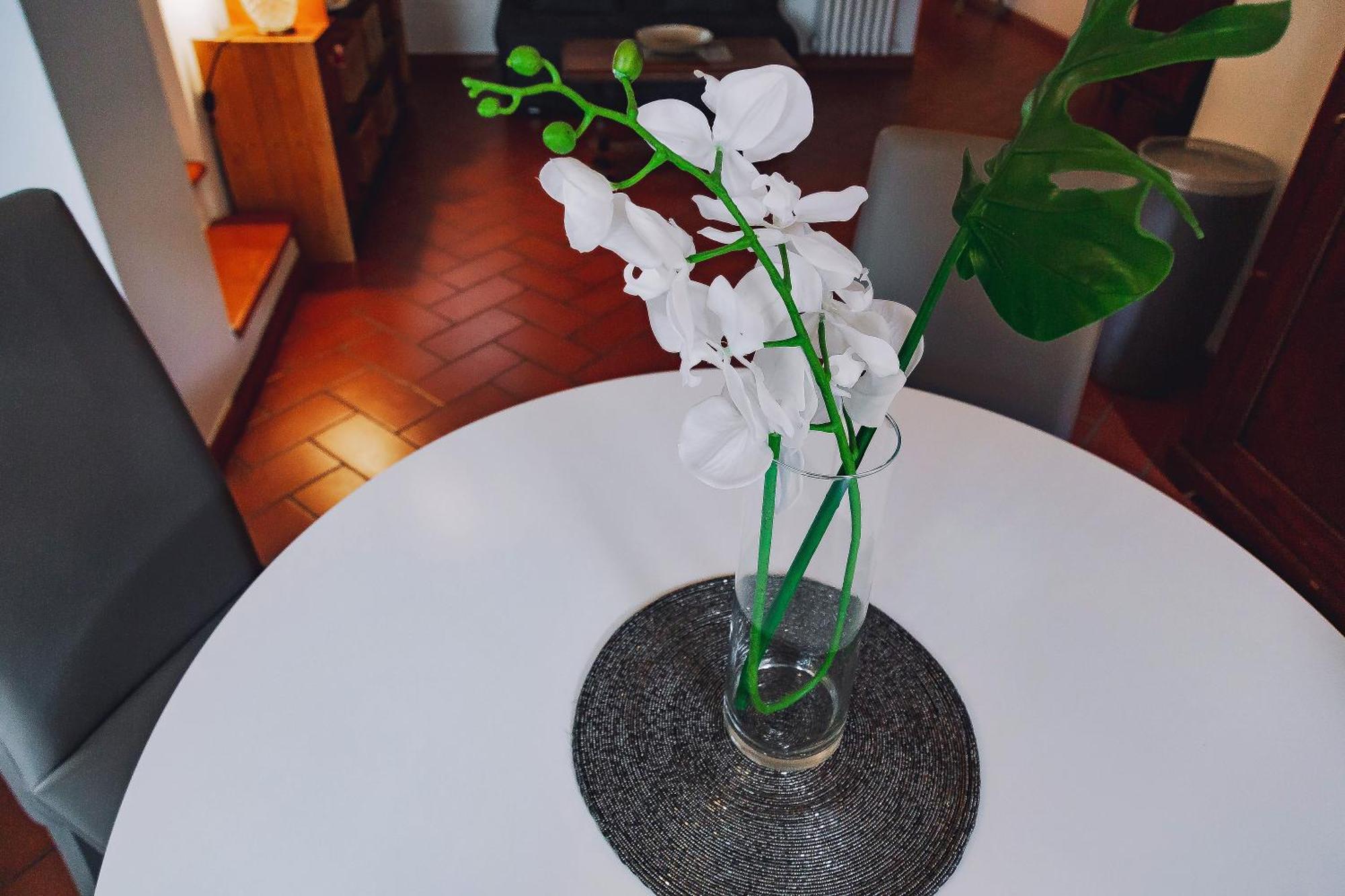 Apartmán Borgo Pinti 49 Florencie Exteriér fotografie