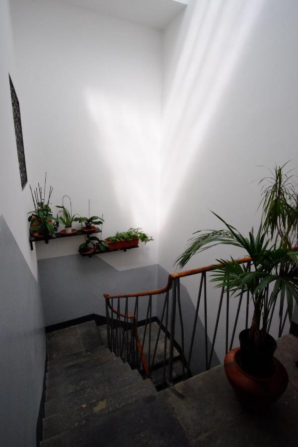 Apartmán Borgo Pinti 49 Florencie Exteriér fotografie